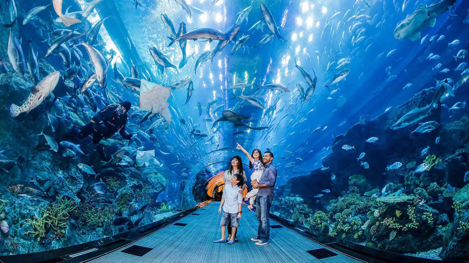 Dubai Aquarium & Underwater Zoo